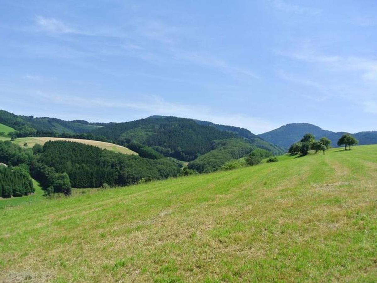 Ferienwohnungen Schäck Oberharmersbach Exterior foto