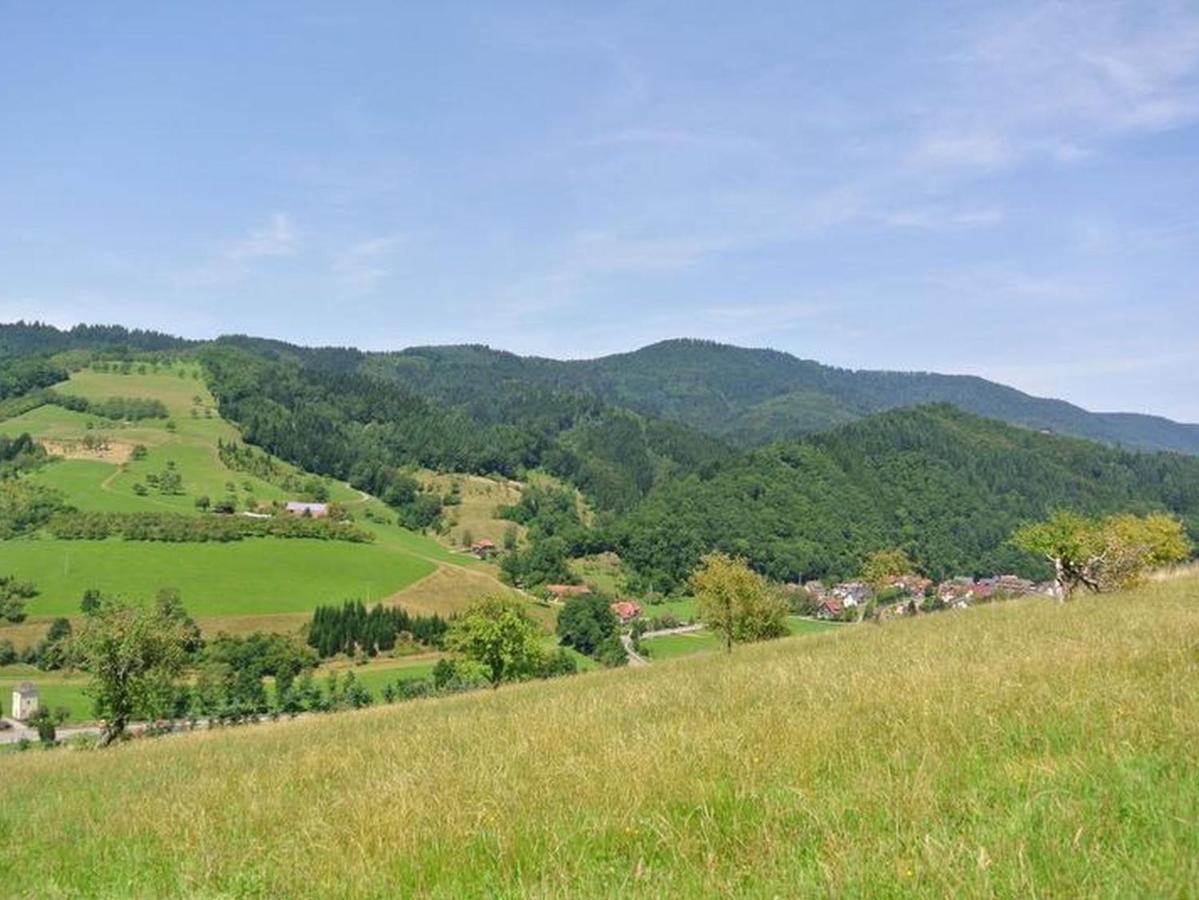 Ferienwohnungen Schäck Oberharmersbach Exterior foto