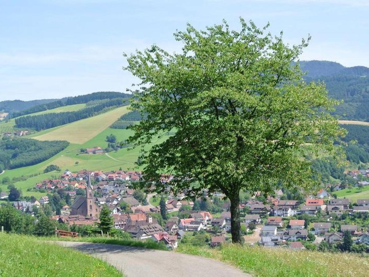 Ferienwohnungen Schäck Oberharmersbach Exterior foto